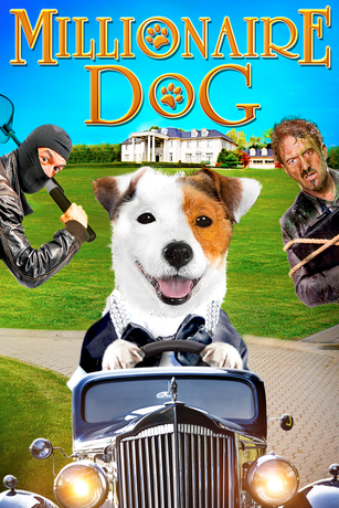 MILLIONAIRE DOG