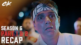 Video thumbnail for Cobra Kai Season 6 So Far (Recap)